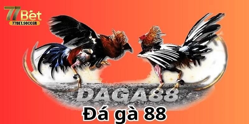 Đá Gà 88 Địa Chỉ Uy Tín, An Toàn Cho Mọi Tín Đồ Của 77Bet