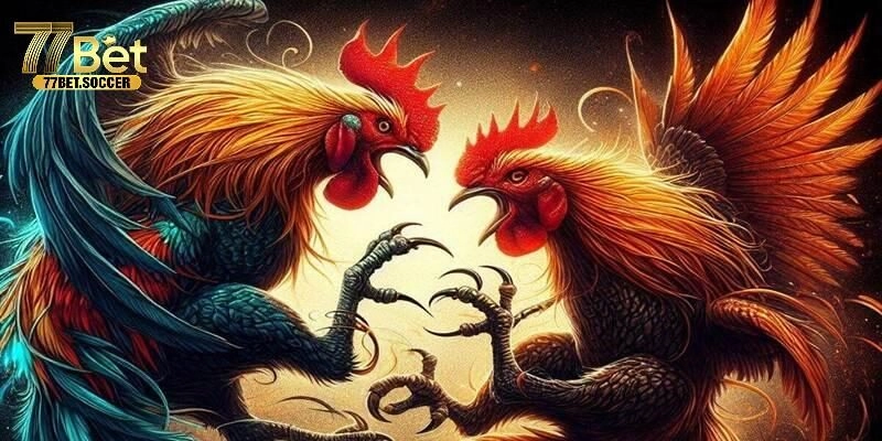 Giới thiệu sơ lược về game đá gà Thomo