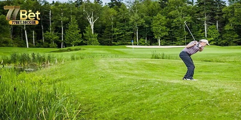 Mẹo cá cược Golf hiệu quả để tăng tỷ lệ thắng